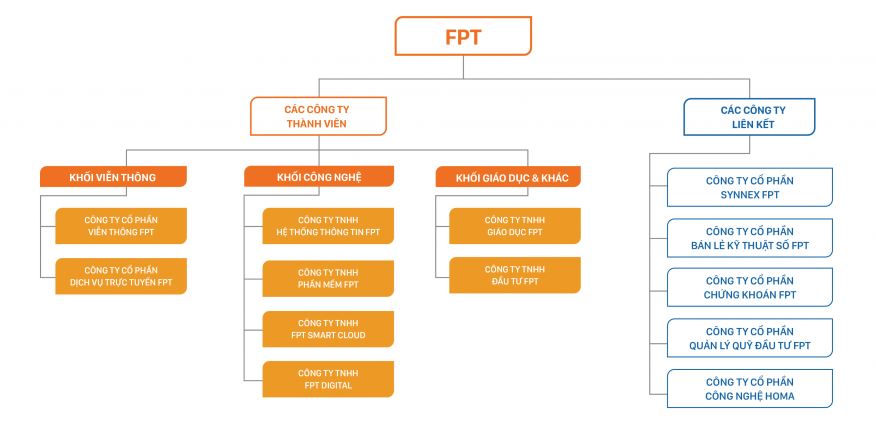 mô hình công ty thành viên fpt