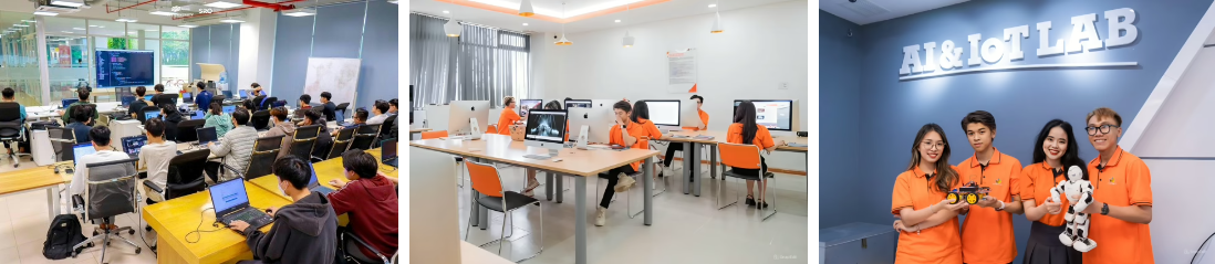 Trong nước, hầu hết các hệ thống thông tin lớn trong các cơ quan nhà nước và các ngành kinh tế trọng điểm của Việt Nam đều do FPT xây dựng và phát triển.
